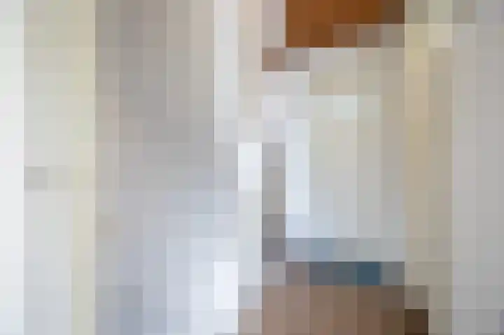Piet Heynlaan 3 Breda thumbnail 27