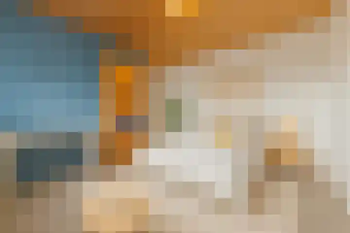 Piet Heynlaan 3 Breda thumbnail 28