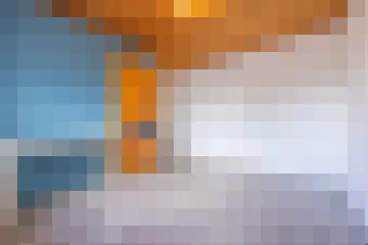 Piet Heynlaan 3 Breda thumbnail 29