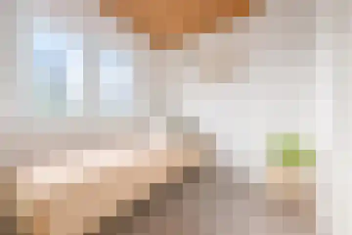 Piet Heynlaan 3 Breda thumbnail 31