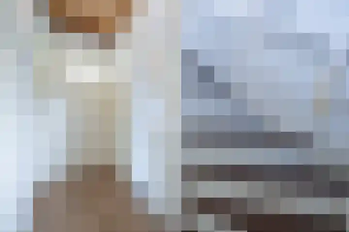 Piet Heynlaan 3 Breda thumbnail 38