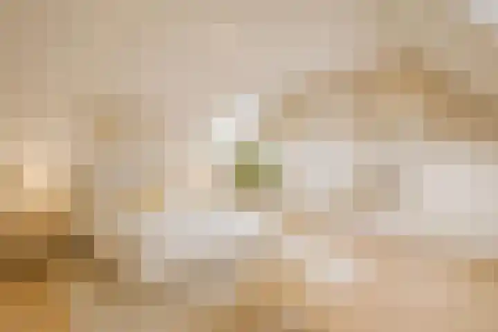 Piet Heynlaan 3 Breda thumbnail 41