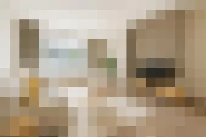 Piet Heynlaan 3 Breda thumbnail 8