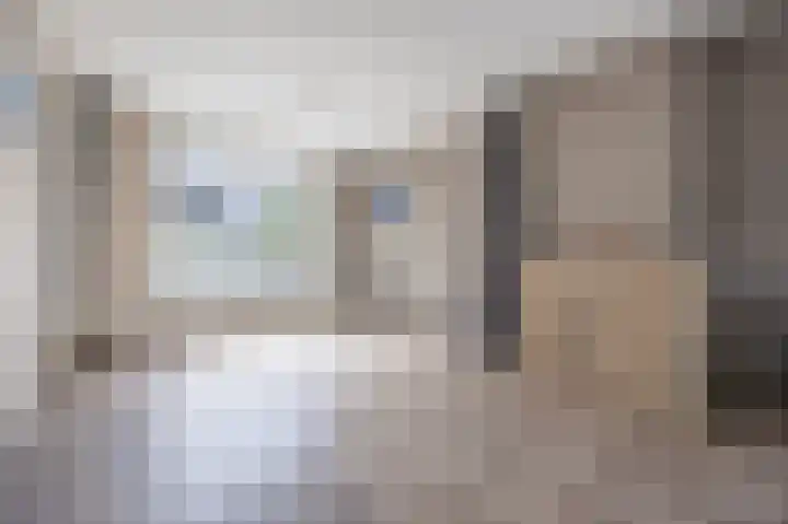 Piet Heynlaan 3 Breda thumbnail 9