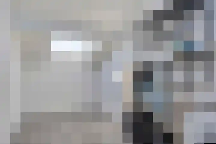 Pieter acker 18 Heemskerk thumbnail 15