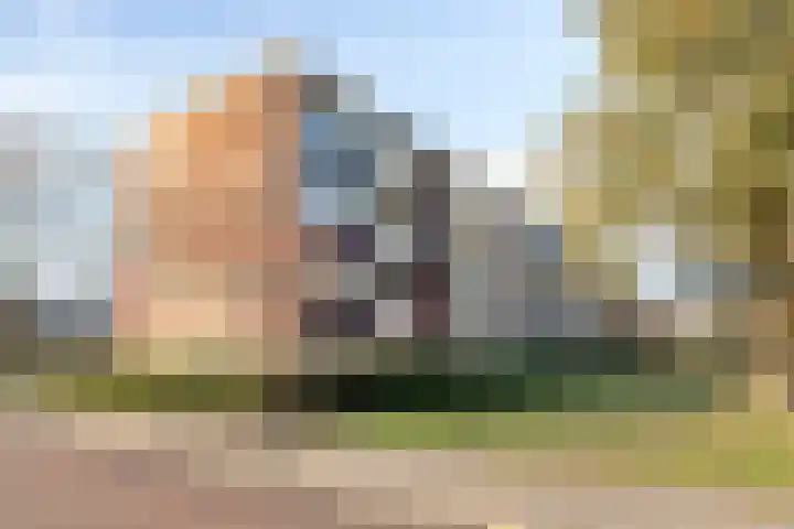 Pieter acker 18 Heemskerk thumbnail 18
