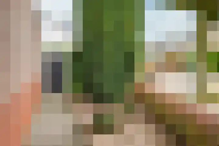 Pieter acker 18 Heemskerk thumbnail 39