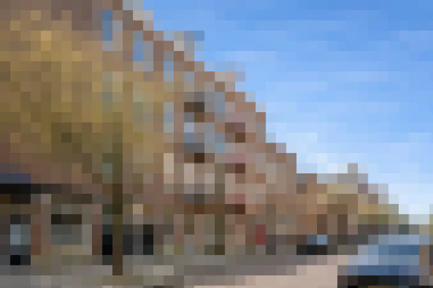 Pieter Aertszstraat 110 2 in Amsterdam