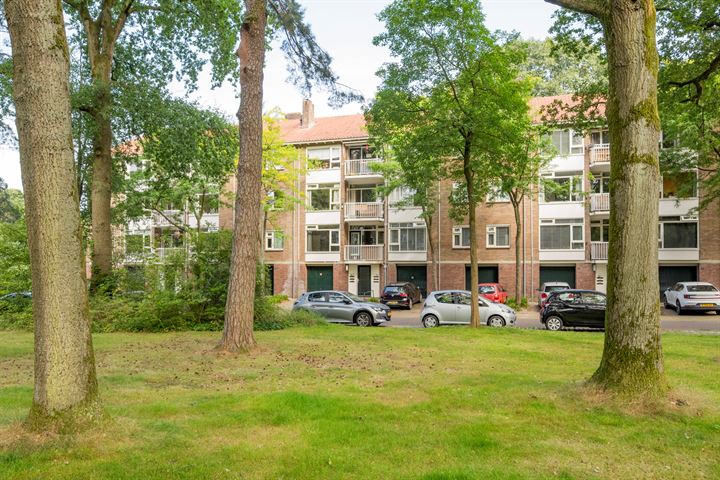 Pieter Jelles Troelstralaan 65A in Amersfoort foto