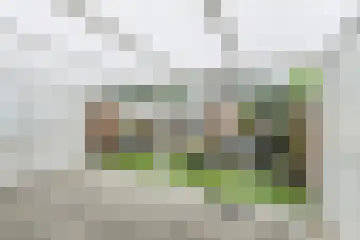 Pieternel Koomansstraat 67 Breda thumbnail 33