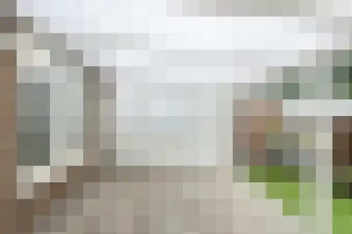 Pieternel Koomansstraat 67 Breda thumbnail 34