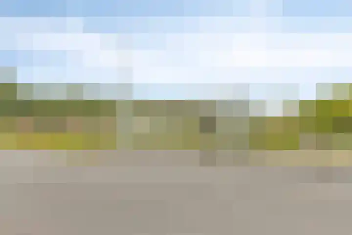 Pigmenthof 36 Almere thumbnail 30