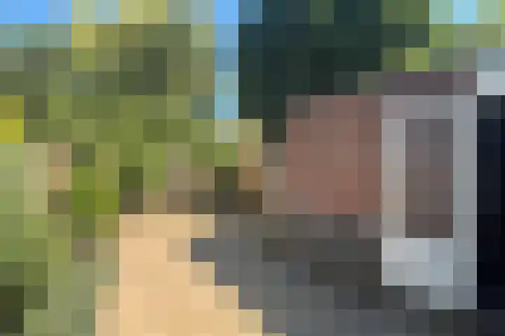Pijlenkamp 60 Eemnes thumbnail 12