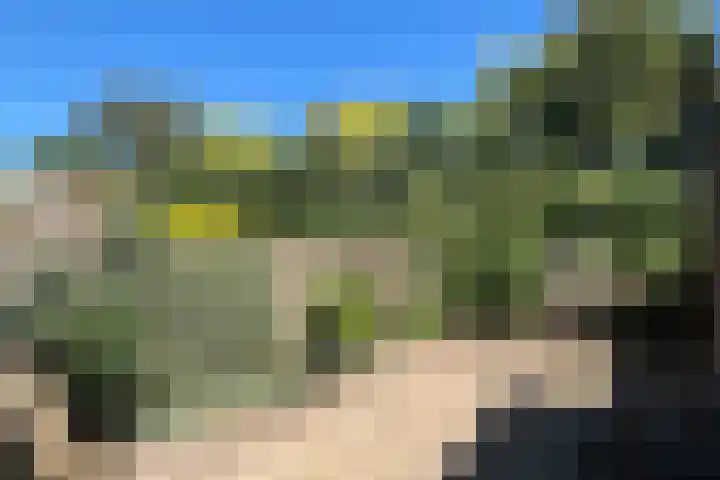 Pijlenkamp 60 Eemnes thumbnail 13