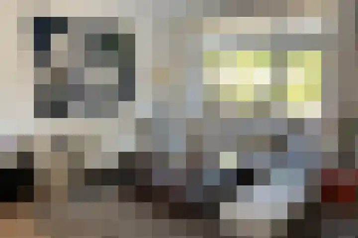 Pijlenkamp 60 Eemnes thumbnail 5