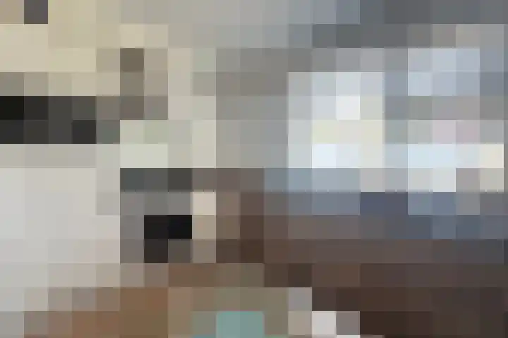 Pijlenkamp 60 Eemnes thumbnail 6