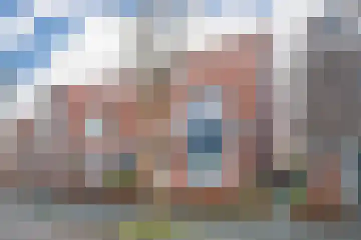 Pijlkruid 10 Elst