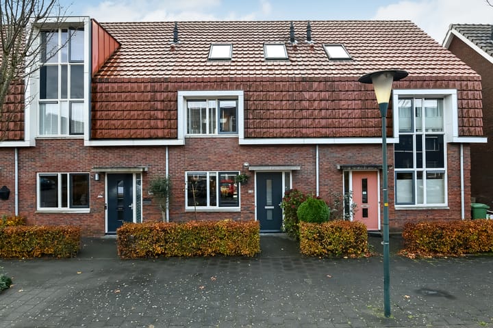Pijlkruid 12 in Elst foto