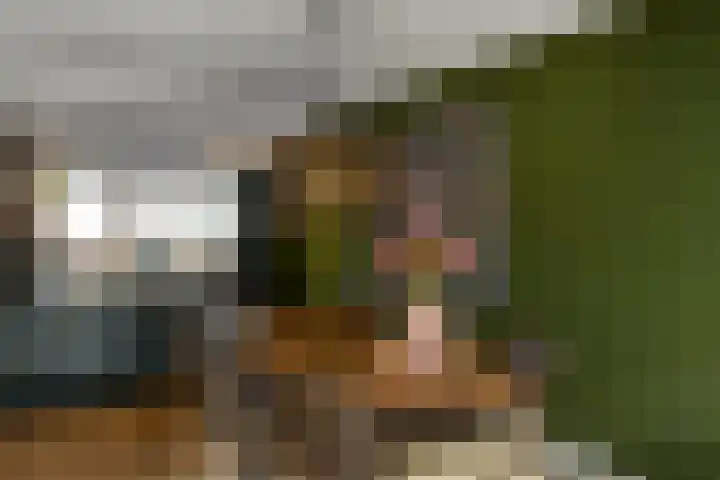 Pijlkruid 12 Elst thumbnail 10