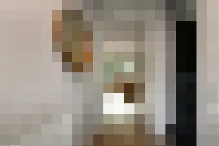 Pijlkruid 12 Elst thumbnail 18