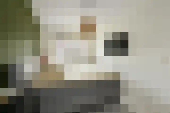 Pijlkruid 12 Elst thumbnail 21