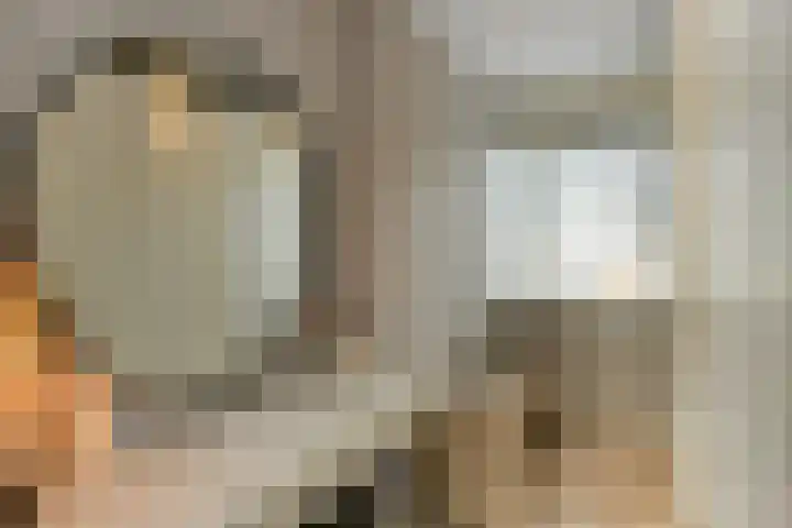 Pijlkruid 12 Elst thumbnail 24