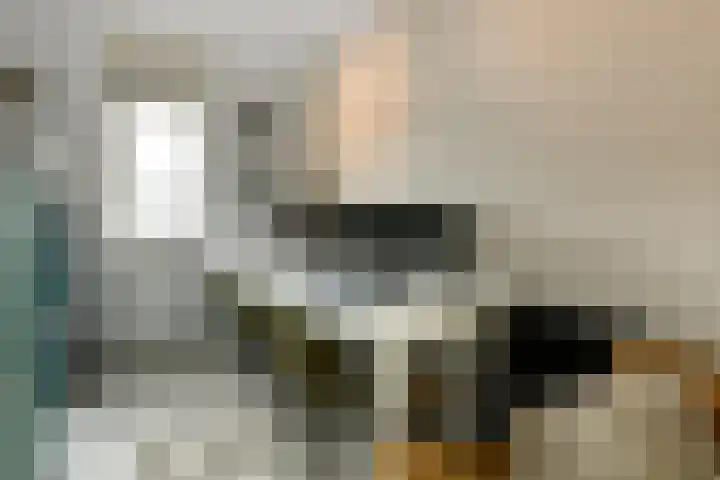 Pijlkruid 12 Elst thumbnail 27