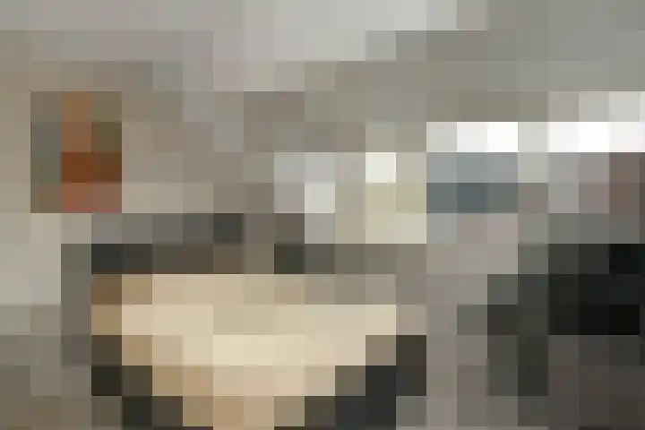 Pijlkruid 12 Elst thumbnail 35
