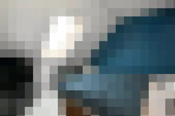 Pijlkruid 12 Elst thumbnail 37