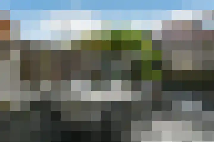 Pijlkruid 12 Elst thumbnail 39