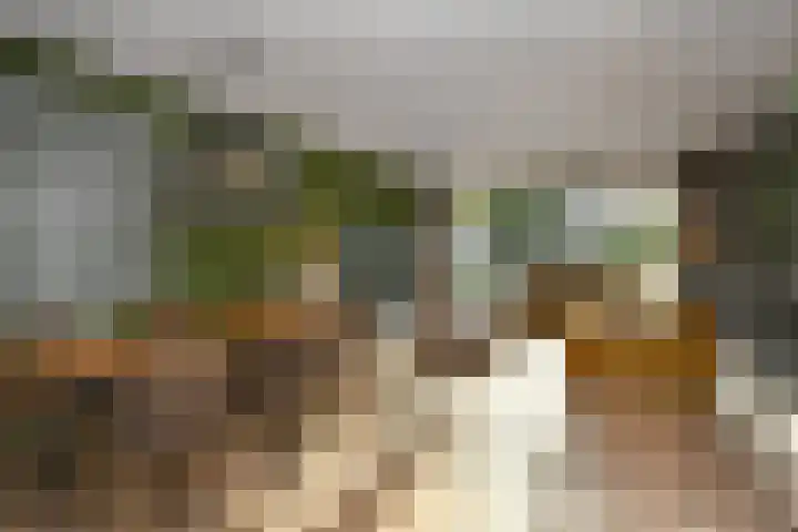 Pijlkruid 12 Elst thumbnail 4