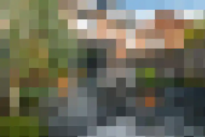 Pijlkruid 12 Elst thumbnail 42