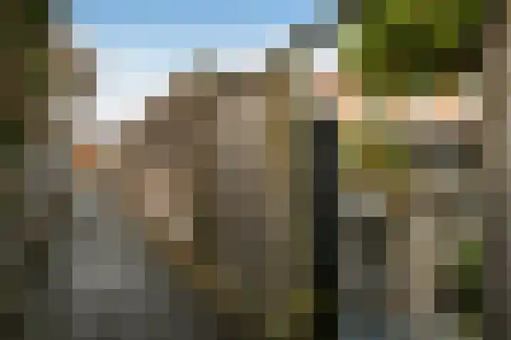 Pijlkruid 12 Elst thumbnail 44