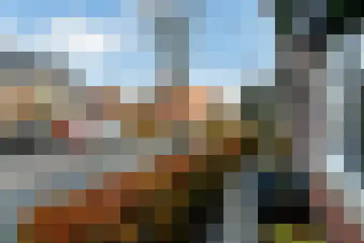 Pijlkruid 12 Elst thumbnail 45