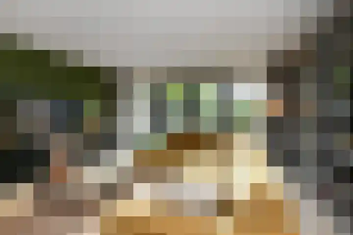 Pijlkruid 12 Elst thumbnail 6