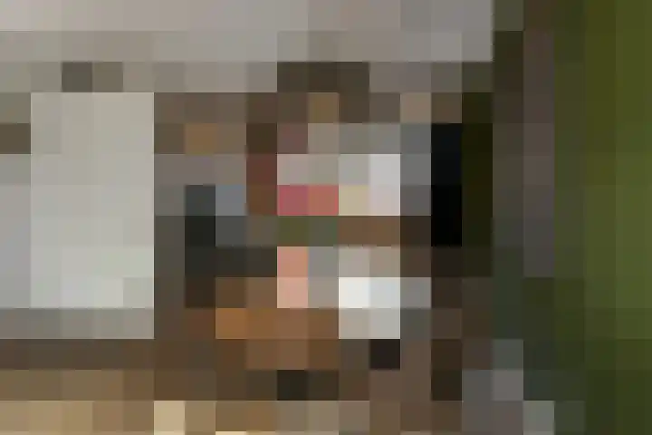 Pijlkruid 12 Elst thumbnail 9