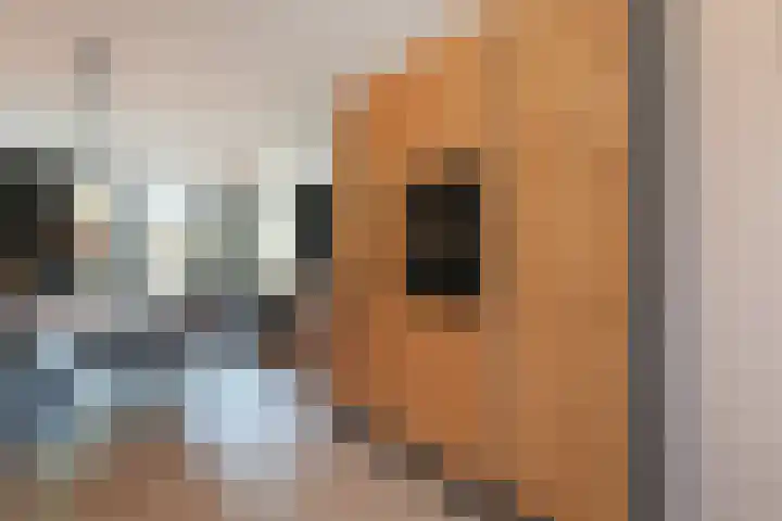 Pijlstaart 3 Pijnacker thumbnail 16