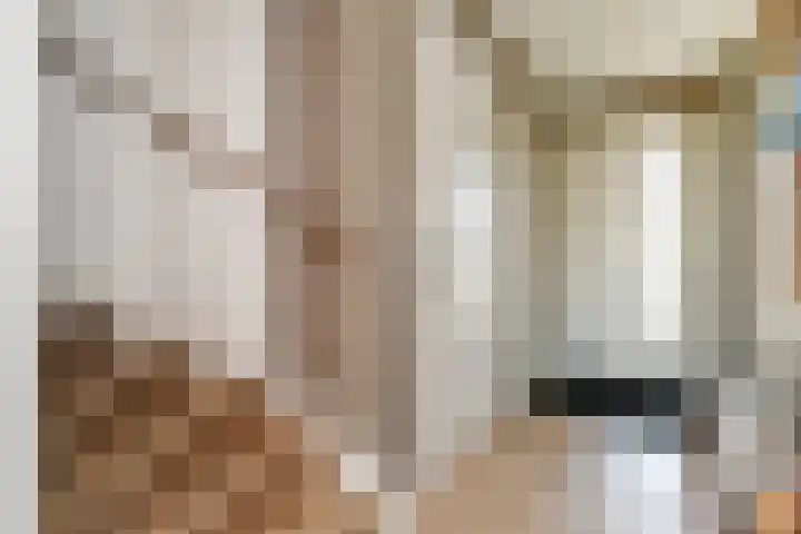 Pijlstaart 3 Pijnacker thumbnail 19