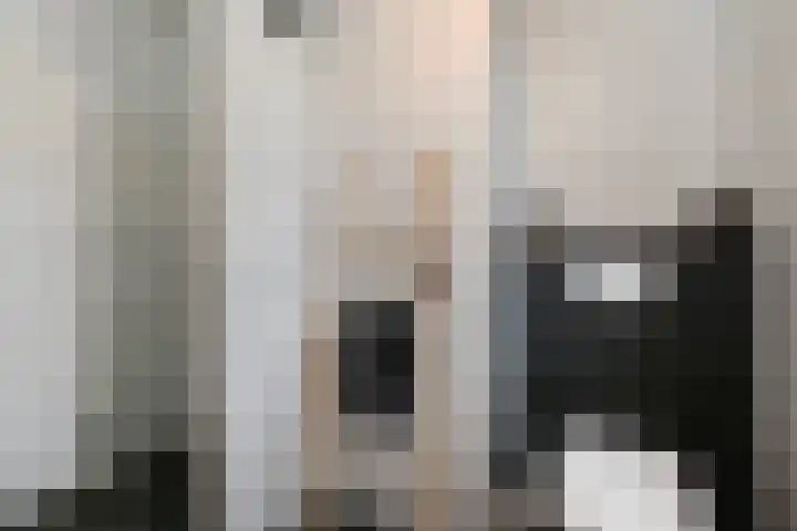 Pijlstaart 3 Pijnacker thumbnail 25