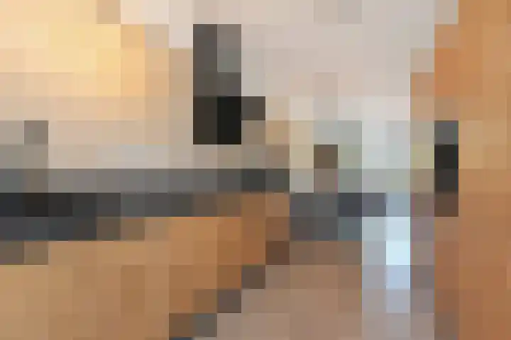 Pijlstaart 3 Pijnacker thumbnail 4