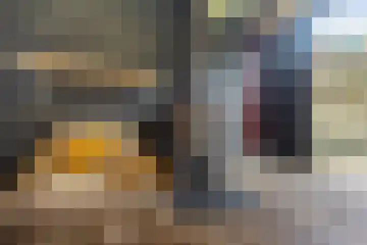 Pijperpad 58 Soest thumbnail 17