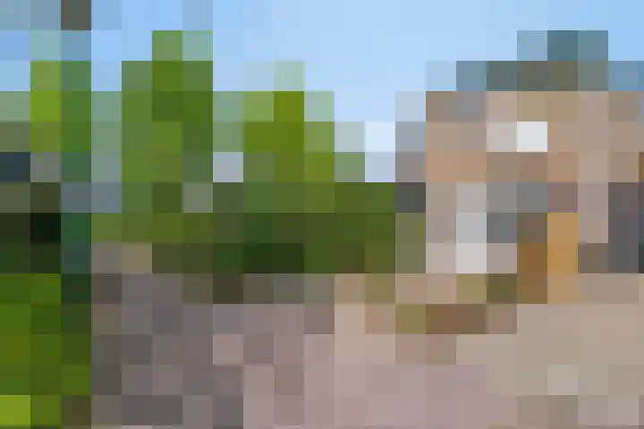 Pijperpad 68 Soest