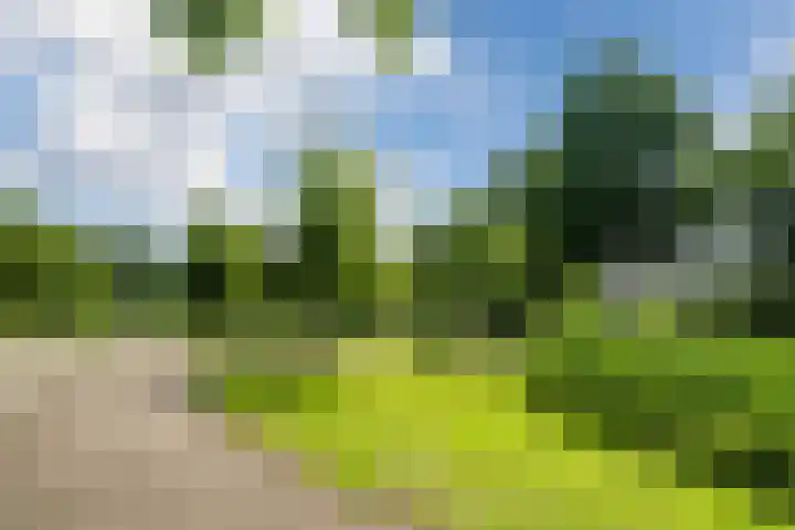 Pijperpad 9 Soest thumbnail 28