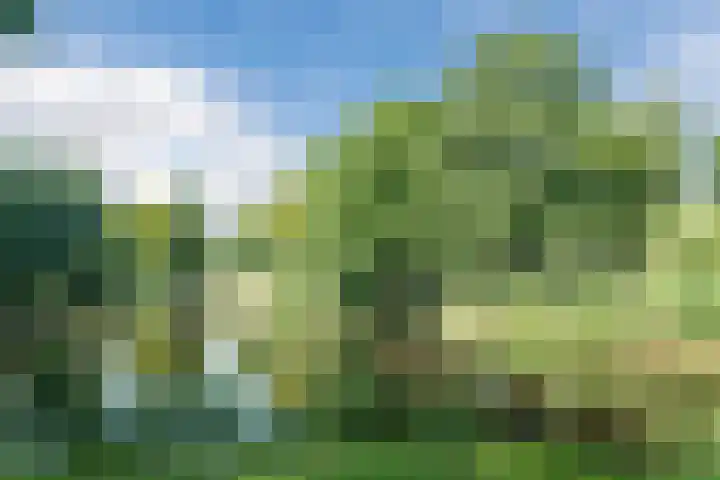 Pijperpad 9 Soest thumbnail 30
