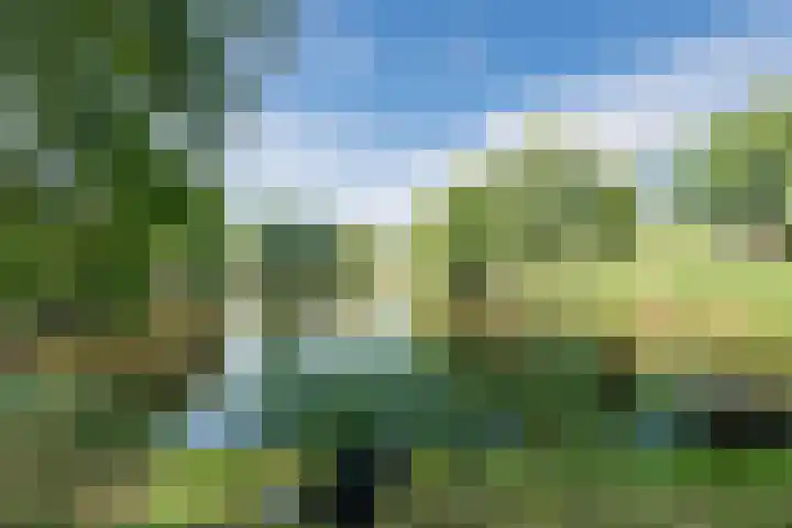 Pijperpad 9 Soest thumbnail 31