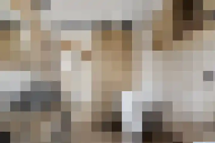 Pijperpad 91 Soest thumbnail 11