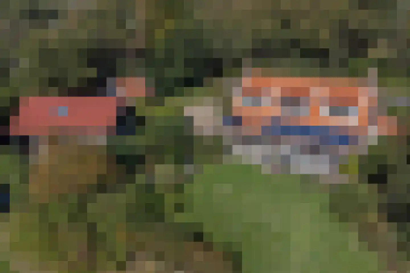 Pijpersdijk 6 De Koog thumbnail 34