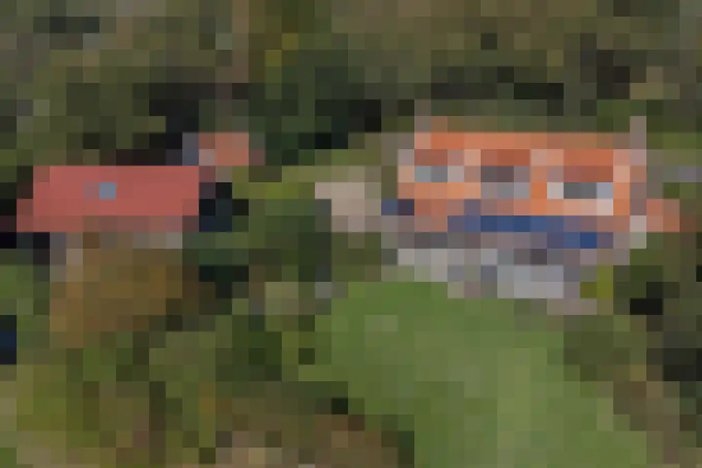 Pijpersdijk 6 De Koog thumbnail 47