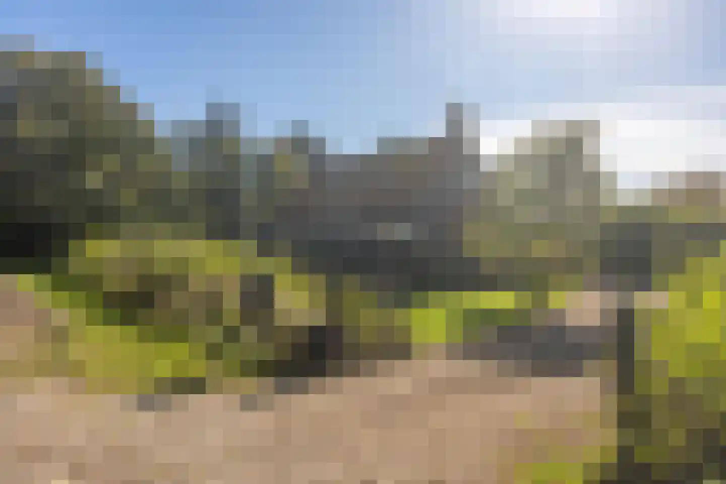 Pijpersdijk 6 De Koog thumbnail 50