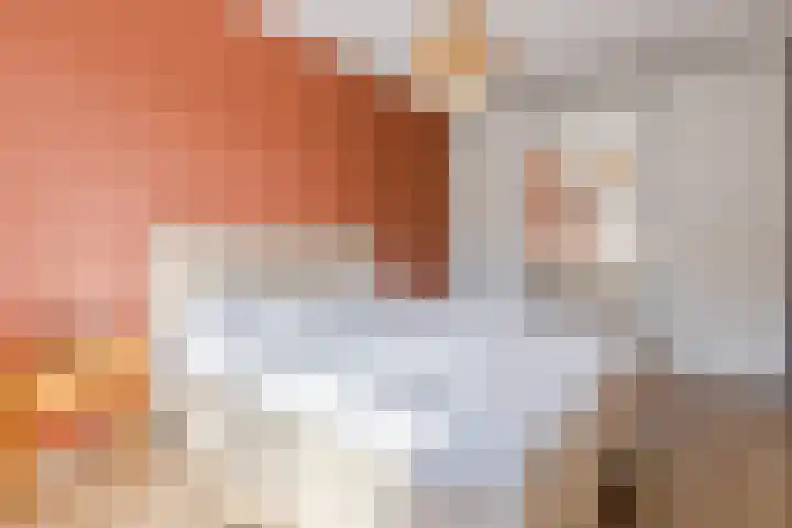 Piketberg 4 Tilburg thumbnail 11